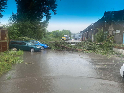 Ploile fac ravagii. Automobile avariate, dupa ce mai multi copaci au cazut peste ele - FOTO Ploile fac ravagii. Automobile avariate, dupa ce mai multi copaci au cazut peste ele - FOTO