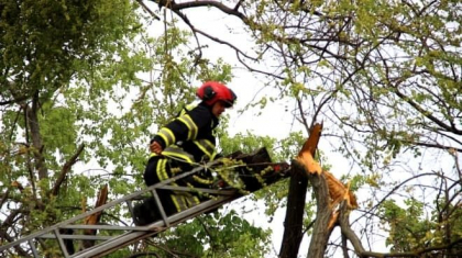 Strazi inundate, lipsa curentului electric si copaci prabusiti de vantul puternic. Ce se intampla in mai multe localitati din tara in urma ploilor torentiale - FOTO