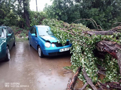 Doua masini, distruse dupa ce copacii au cazut peste ele. Automobilele erau parcate pe o strada din capitala - FOTO Doua masini, distruse dupa ce copacii au cazut peste ele. Automobilele erau parcate pe o strada din capitala - FOTO