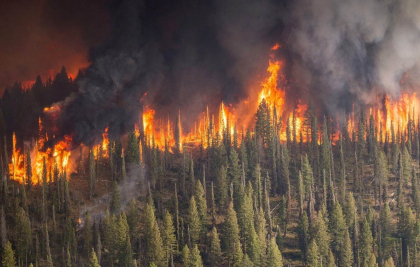 Peste 250 de incendii ard pe teritoriul Rusiei Peste 250 de incendii ard pe teritoriul Rusiei