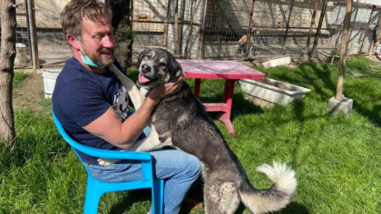 Marea Britanie va ajuta un fost militar sa evacueze 150 de caini si pisici din Afganistan. La bord vor fi si 130 de afgani