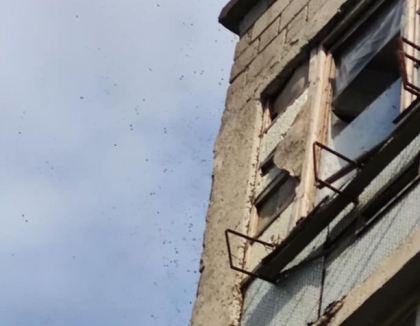 Pompierii - chemati sa scoata un cuib urias de viespi din dulapul unui apartament din sectorul Botanica - FOTO Pompierii - chemati sa scoata un cuib urias de viespi din dulapul unui apartament din sectorul Botanica - FOTO