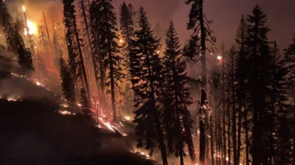 Peste 22.000 de americani au fost evacuati din calea unui incendiu care face ravagii in California