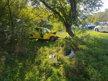 Un tanar - transportat la spital, dupa ce s-a izbit cu masina intr-un copac, la Anenii Noi. Soferul: "Am adormit la volan" - FOTO 
