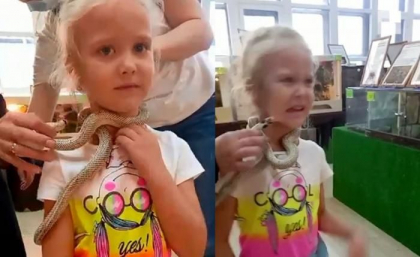 O fetita de 5 ani a fost muscata de fata de un sarpe veninos, la gradina zoologica: „Am chemat o ambulanta" - FOTO