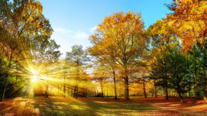 Prognoza meteo. Cum va fi vremea astazi, dar si in zilele urmatoare - FOTO Prognoza meteo. Cum va fi vremea astazi, dar si in zilele urmatoare - FOTO