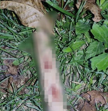 Crima la Orhei. Un barbat - gasit fara suflare, dupa ce a fost lovit cu o bucata de lemn in cap. Politia a retinut un suspect Crima la Orhei. Un barbat - gasit fara suflare, dupa ce a fost lovit cu o bucata de lemn in cap. Politia a retinut un suspect