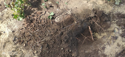 Alerta la Valea Mare. Politia de frontiera: au fost descoperite peste 300 de munitii de muncitorii care se ocupau de renovarea sediului - FOTO Alerta la Valea Mare. Politia de frontiera: au fost descoperite peste 300 de munitii de muncitorii care se ocupau de renovarea sediului - FOTO