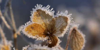 Codul galben de inghet intra in vigoare de astazi. Ce temperaturi ne astepta in toate regiunile tarii - FOTO