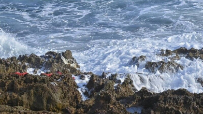 17 migranti morti au fost descoperiti langa coasta Libiei 17 migranti morti au fost descoperiti langa coasta Libiei