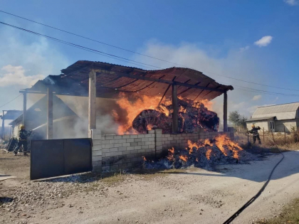 Un depozit a luat foc la Falesti. Pompierii au salvat doi porci si un caine - FOTO