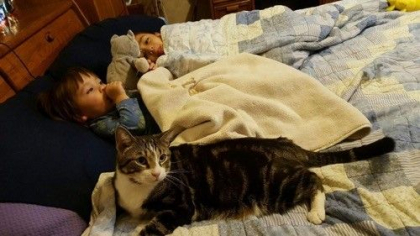 O fetita care era pe cale sa se sufoce in somn a fost salvata de o pisica O fetita care era pe cale sa se sufoce in somn a fost salvata de o pisica