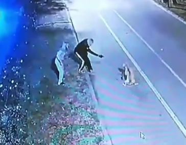 Atentie, imagini care va pot afecta emotional de la Valea Morilor, unde un Pit bull a fost impuscat, dupa ce a atacat o femeie - VIDEO