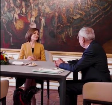 Imagini haioase au fost surprinse in timpul intrevederii dintre Maia Sandu cu presedintele Austriei. Un caine se plimba pe sub masa, in timp ce oficialii discutau - VIDEO 
