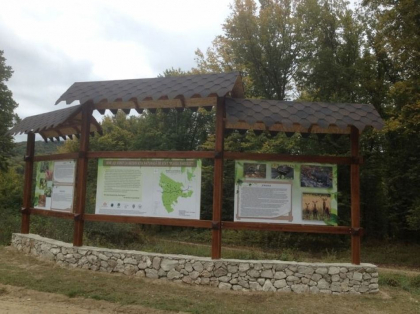 Un cerb din Rezervatia „Plaiul Fagului” prezinta semne de rabie. Lucratorii: "A fortat un gard de 2 metri"