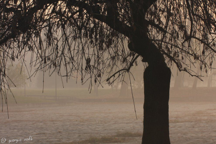 Cum va fi vremea astazi, dar si in urmatoarele zile. Prognoza meteo - FOTO
