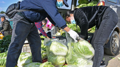 Chinezii isi fac provizii de varza si magazinele au inceput sa vanda doar cate 3 bucati de persoana Chinezii isi fac provizii de varza si magazinele au inceput sa vanda doar cate 3 bucati de persoana