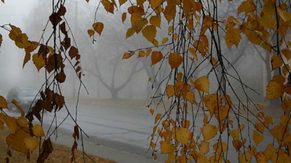 Cum va fi vremea astazi, dar si in urmatoarele zile. Prognoza meteo - FOTO
