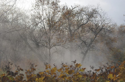 Cum va fi vremea astazi, dar si in urmatoarele zile. Prognoza meteo - FOTO
