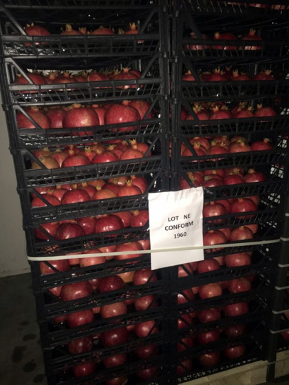 ANSA a identificat la la vama loturi de rodii cu limite maxime admisibile de pesticide. Ce risca agentii economici ANSA a identificat la la vama loturi de rodii cu limite maxime admisibile de pesticide. Ce risca agentii economici