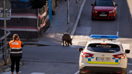 Barcelona, invadata de mistreti. Cum incearca autoritatile locale sa rezolve aceasta problema