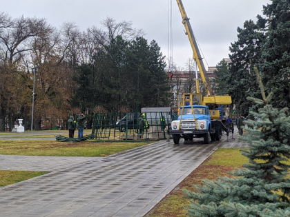 Bradul de Craciun se instaleaza in centrul capitalei  - FOTO