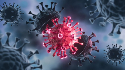 Seful Moderna avertizeaza ca vaccinurile actuale nu sunt la fel de eficiente impotriva Omicron precum sunt fata de varianta Delta Seful Moderna avertizeaza ca vaccinurile actuale nu sunt la fel de eficiente impotriva Omicron precum sunt fata de varianta Delta