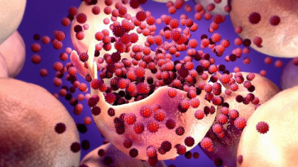 Cercetatorii italieni au gasit solutia prin care s-ar putea bloca intrarea SARS-CoV-2 in organism Cercetatorii italieni au gasit solutia prin care s-ar putea bloca intrarea SARS-CoV-2 in organism