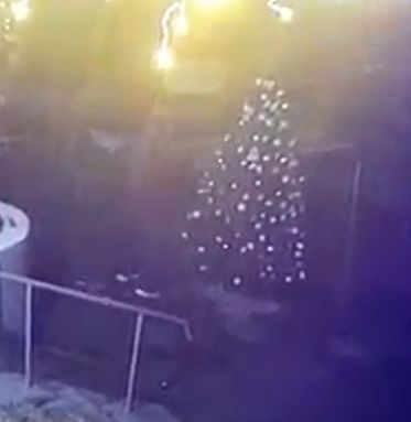 Un brad impodobit - furat din curtea unui bloc din capitala. Momentul a fost surprins de camerele de supraveghere - VIDEO Un brad impodobit - furat din curtea unui bloc din capitala. Momentul a fost surprins de camerele de supraveghere - VIDEO