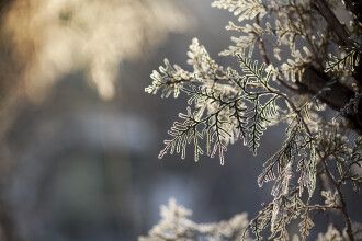 Ninsori in nordul tarii si temperaturi de pana la -3 grade Celsius. Prognoza pentru urmatoarele zile - FOTO