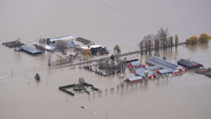 Dezastrele meteo din 2021 au lasat milioane de oameni fara case si au provocat pagube de sute de miliarde de dolari