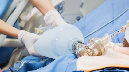 Avertisment OMS: Omicron va duce la un numar ridicat de spitalizari, in special in randul celor nevaccinati Avertisment OMS: Omicron va duce la un numar ridicat de spitalizari, in special in randul celor nevaccinati