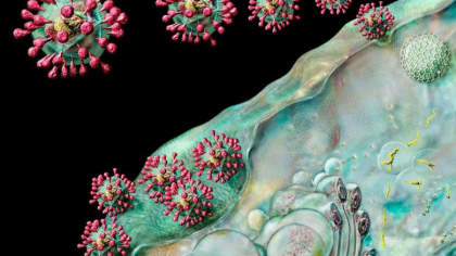 Director OMS: Faza acuta a pandemiei de coronavirus s-ar putea incheia in 2022 Director OMS: Faza acuta a pandemiei de coronavirus s-ar putea incheia in 2022
