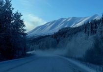 Record de caldura in Alaska, cu temperaturi de 19,4 grade Celsius: ”E absurd” Record de caldura in Alaska, cu temperaturi de 19,4 grade Celsius: ”E absurd”
