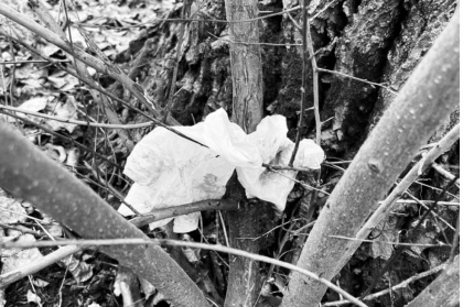 Imagini de la locul crimei. Unde a fost lasat sa zaca tanarul de 21 de ani, omorat in parcul Valea Trandafirilor - FOTO