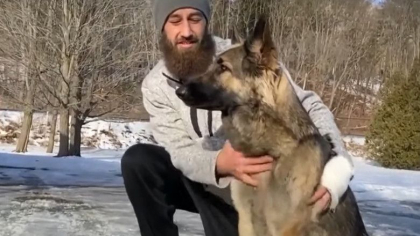 Un ciobanesc german si-a salvat stapanul dupa ce a condus politia la locul accidentului unde el zacea ranit si cu hipotermie - VIDEO Un ciobanesc german si-a salvat stapanul dupa ce a condus politia la locul accidentului unde el zacea ranit si cu hipotermie - VIDEO