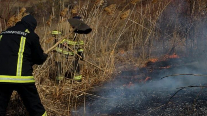 39 de incendii s-au produs in toata tara in ultimele 24 de ore. Pompierii au lichidat incendiul de pe circa 184 hectare de vegetatie uscata - FOTO 39 de incendii s-au produs in toata tara in ultimele 24 de ore. Pompierii au lichidat incendiul de pe circa 184 hectare de vegetatie uscata - FOTO