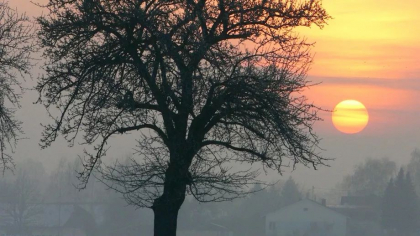 Cum va fi vremea astazi, dar si in urmatoarele zile. Prognoza meteo - FOTO
