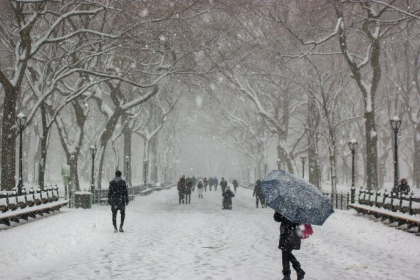 Ninsori si temperaturi de pana la minus 7 grade Celsius. Cum va fi vremea astazi, dar si in urmatoarele zile. Prognoza meteo - FOTO
