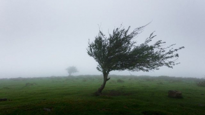 Codul galben de vant puternic a intrat in vigoare. Ce temperaturi ne asteapta astazi. Prognoza meteo - FOTO