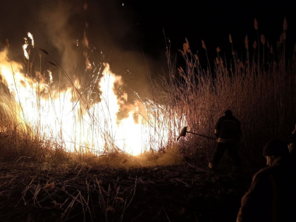 Incendiu la Rezervatia Prutul de Jos. Sapte echipaje de pompieri au intervenit pentru a stinge focul - FOTO Incendiu la Rezervatia Prutul de Jos. Sapte echipaje de pompieri au intervenit pentru a stinge focul - FOTO