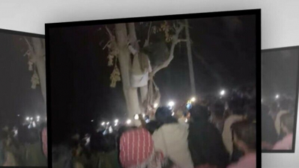 VIDEO Bolnav mintal din Pakistan, ucis cu pietre de o multime furioasa pentru ca ar fi dat foc unor pagini din Coran
VIDEO Bolnav mintal din Pakistan, ucis cu pietre de o multime furioasa pentru ca ar fi dat foc unor pagini din Coran