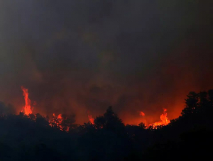 Argentina se confrunta cu incendii puternice de vegetatie. „Sunt distruse cam 20.000 de hectare pe zi” Argentina se confrunta cu incendii puternice de vegetatie. „Sunt distruse cam 20.000 de hectare pe zi”