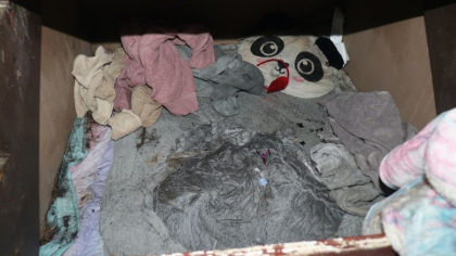 Cum a fost gasita fetita disparuta acum 2 ani, intr-o camera secreta din casa mamei sale biologice. O informatie a schimbat totul Cum a fost gasita fetita disparuta acum 2 ani, intr-o camera secreta din casa mamei sale biologice. O informatie a schimbat totul