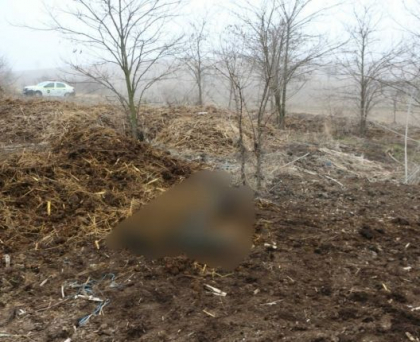 Caz tragic la Criuleni. Cadavrul unui barbat - gasit ascuns sub niste paie de la ferma unui prieten. Suspectul - retinut pentru 72 de ore - FOTO/VIDEO