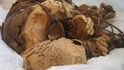 Ramasitele unor copii si adulti sacrificati acum mai bine de 1.000 de ani au fost descoperite de arheologi in Peru - FOTO