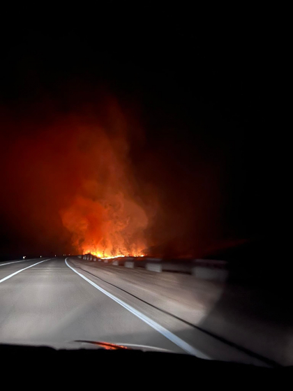 Incendiu de vegetatie la Calarasi. Un camp din apropierea unei localitati a fost cuprins de flacari - FOTO/VIDEO