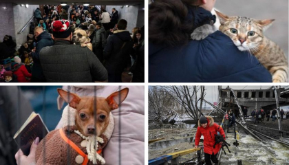 Imaginile durerii din Ucraina. Oamenii s-au pornit la drum impreuna cu animalele de companie - FOTO