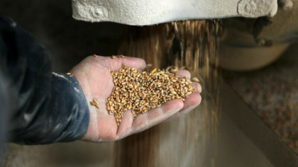 Razboiul din Ucraina agraveaza criza sigurantei alimentare globale. Cele mai afectate tari Razboiul din Ucraina agraveaza criza sigurantei alimentare globale. Cele mai afectate tari