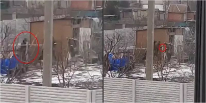Soldati rusi filmati cum furau gaini dintr-o curte - VIDEO
Soldati rusi filmati cum furau gaini dintr-o curte - VIDEO